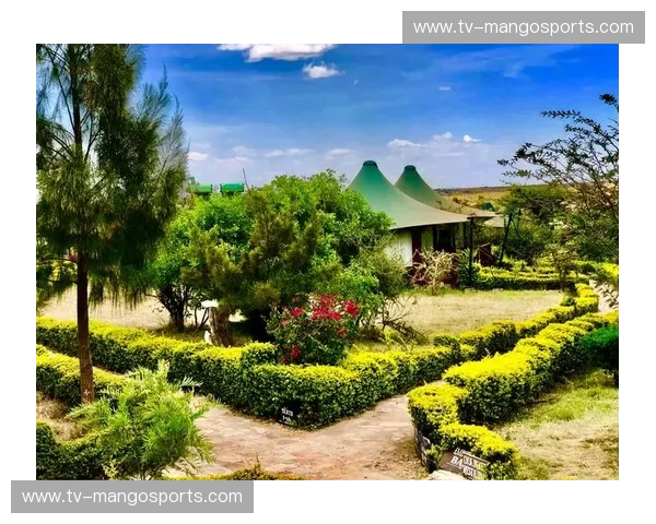 玫瑰与硝烟的交响：当巴黎的华丽遇上马赛的狂野